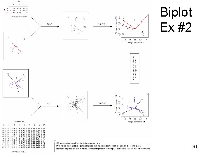 Biplot Ex #2 91 