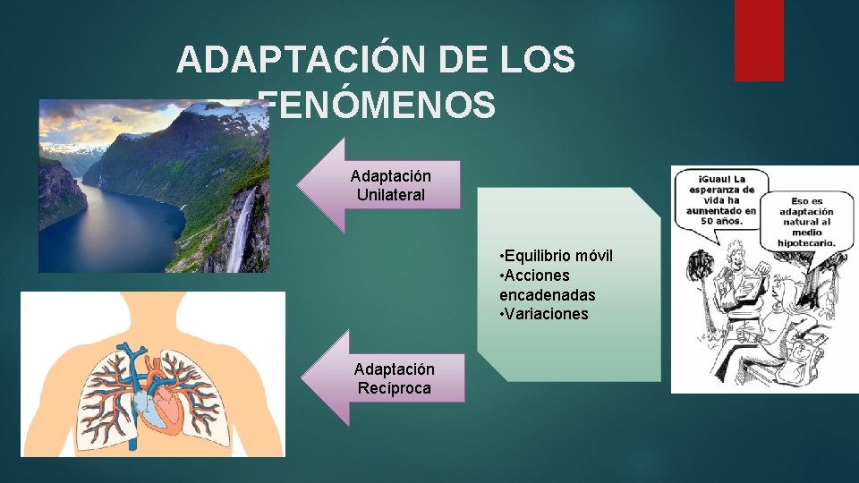 ADAPTACIÓN DE LOS FENÓMENOS Adaptación Unilateral • Equilibrio móvil • Acciones encadenadas • Variaciones