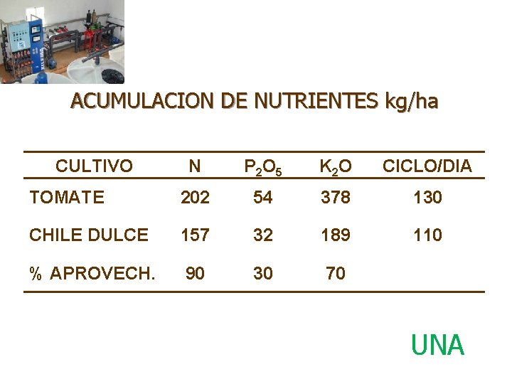 ACUMULACION DE NUTRIENTES kg/ha CULTIVO N P 2 O 5 K 2 O CICLO/DIA