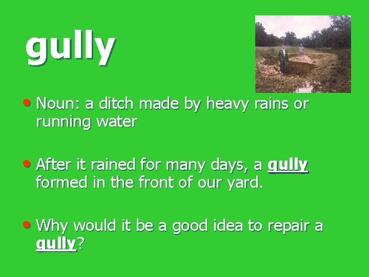 gully • Noun: a ditch made by heavy rains or running water • After