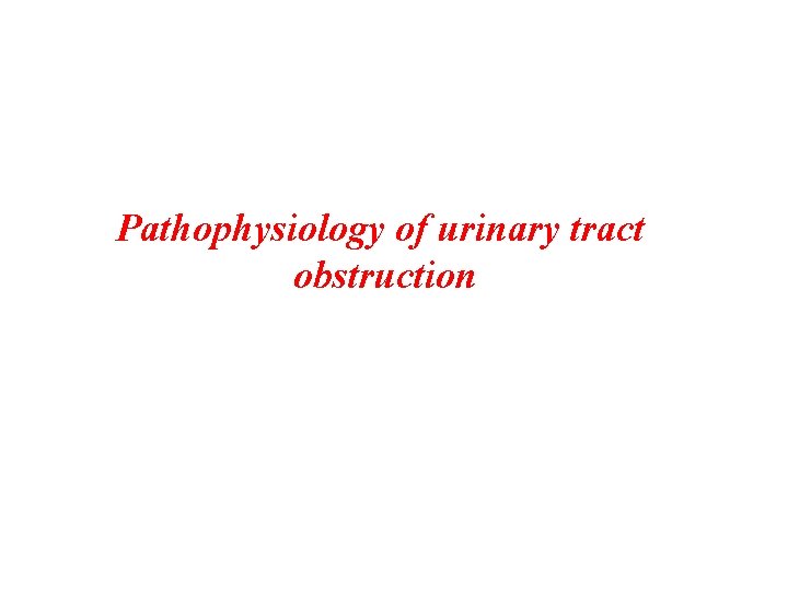 Pathophysiology of urinary tract obstruction 