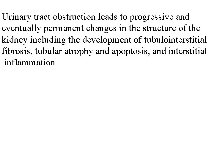 Urinary tract obstruction leads to progressive and eventually permanent changes in the structure of