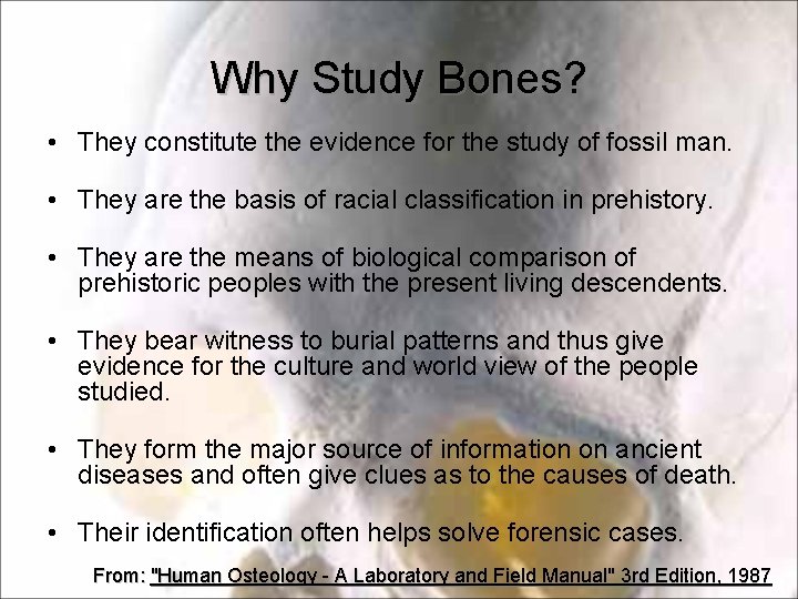 Why Study Bones? • They constitute the evidence for the study of fossil man. Why Study Bones? • They constitute the evidence for the study of fossil man.