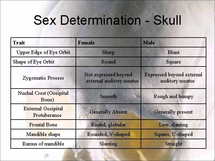 Sex Determination - Skull Trait Female Upper Edge of Eye Orbit Shape of Eye