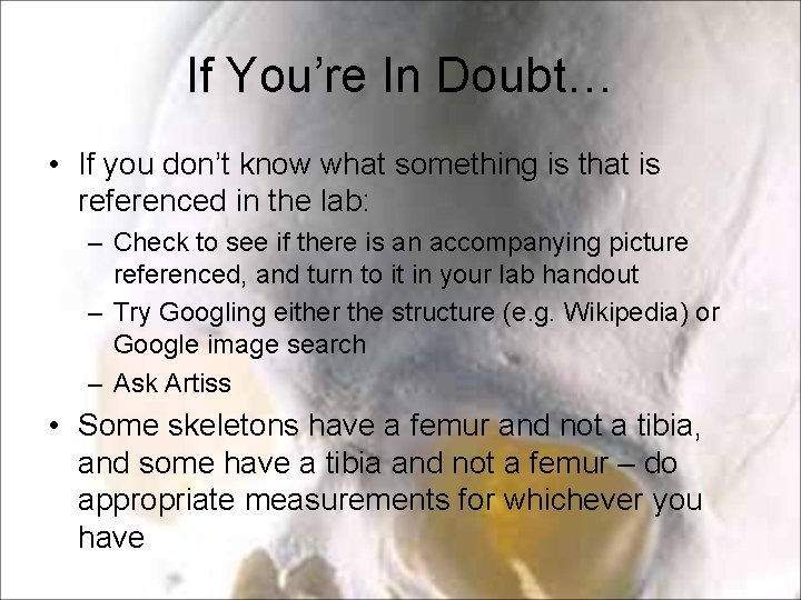 If You’re In Doubt… • If you don’t know what something is that is