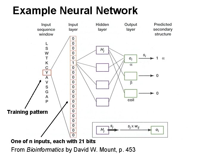 Example Neural Network Training pattern One of n inputs, each with 21 bits From