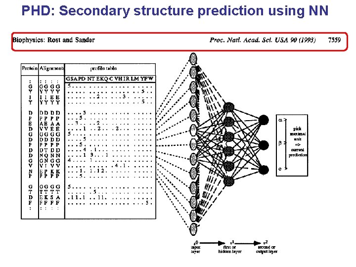 PHD: Secondary structure prediction using NN 