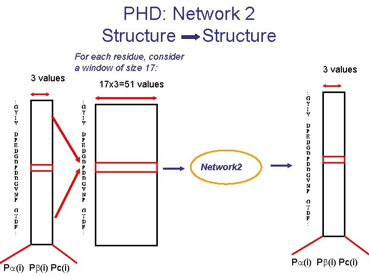 PHD: Network 2 Structure 3 values For each residue, consider a window of size