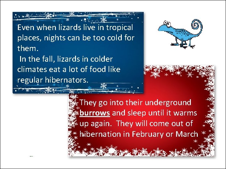 Even when lizards live in tropical places, nights can be too cold for them.