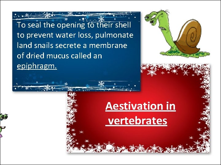 To seal the opening to their shell to prevent water loss, pulmonate land snails