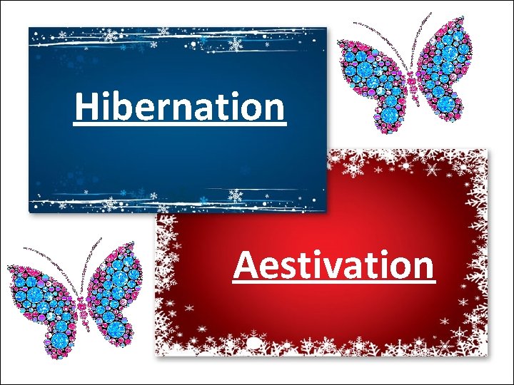 Hibernation Aestivation 