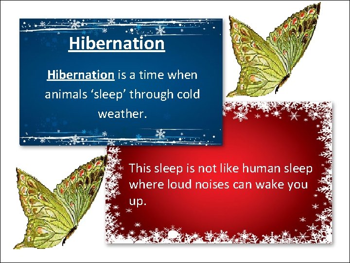 Hibernation is a time when animals ‘sleep’ through cold weather. This sleep is not