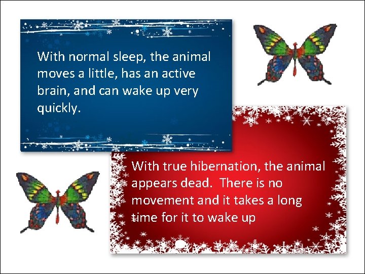 With normal sleep, the animal moves a little, has an active brain, and can