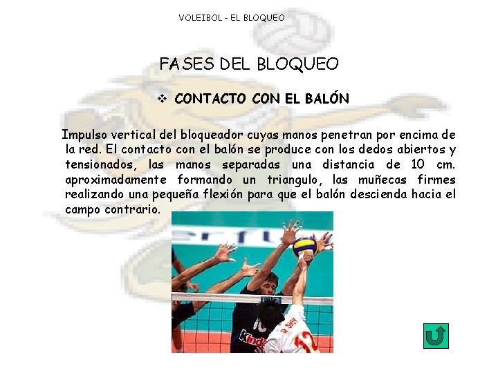 VOLEIBOL - EL BLOQUEO FASES DEL BLOQUEO v CONTACTO CON EL BALÓN Impulso vertical