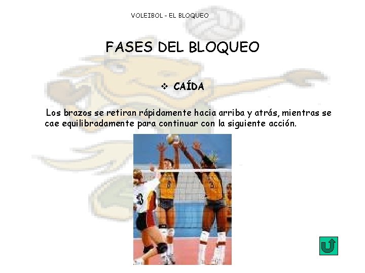 VOLEIBOL - EL BLOQUEO FASES DEL BLOQUEO v CAÍDA Los brazos se retiran rápidamente