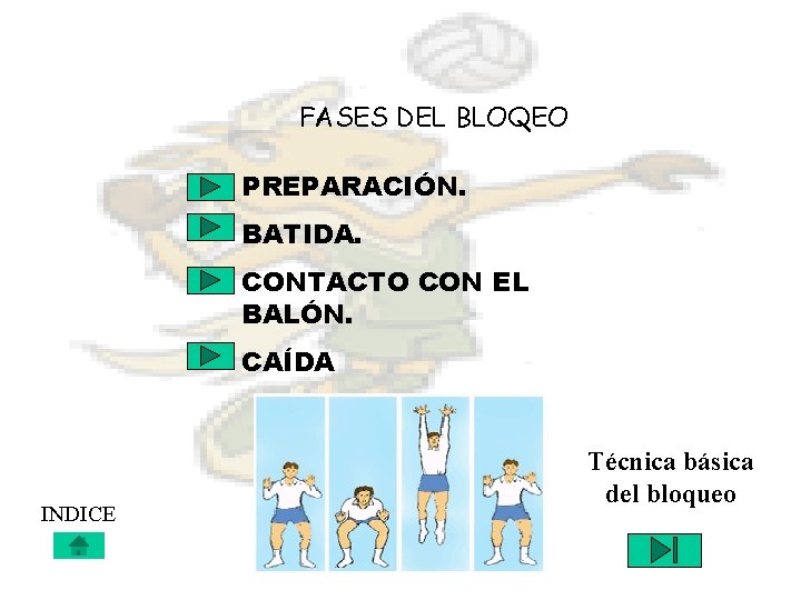 FASES DEL BLOQEO PREPARACIÓN. BATIDA. CONTACTO CON EL BALÓN. CAÍDA INDICE Técnica básica del