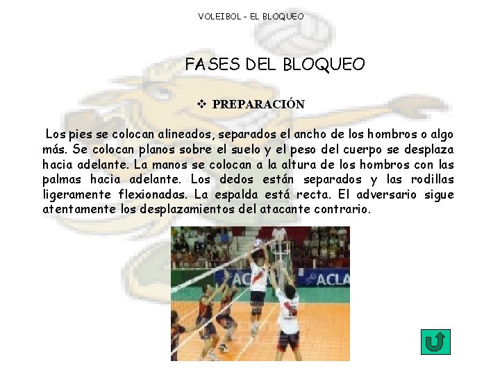 VOLEIBOL - EL BLOQUEO FASES DEL BLOQUEO v PREPARACIÓN Los pies se colocan alineados,
