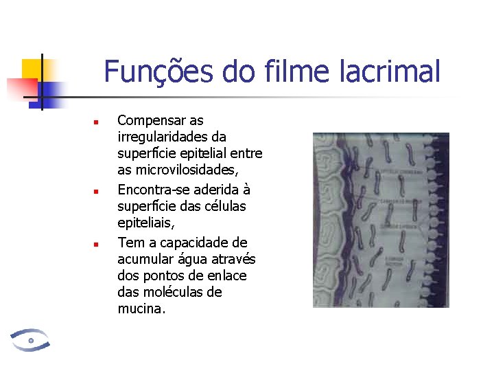 Funções do filme lacrimal n n n Compensar as irregularidades da superfície epitelial entre