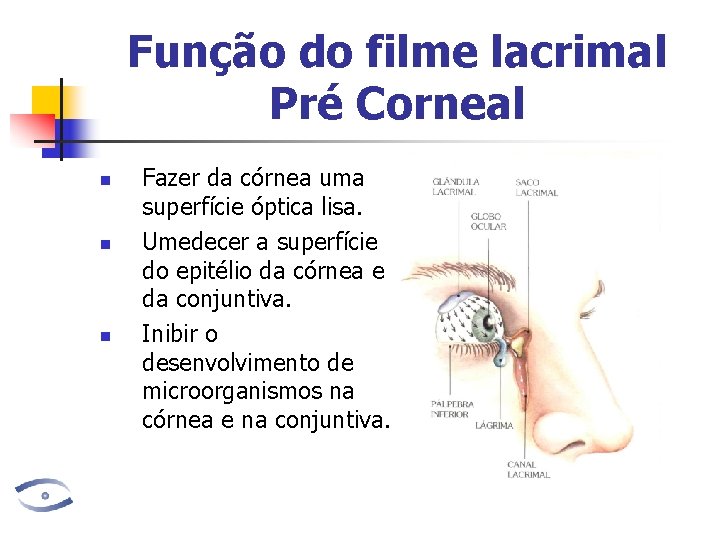 Função do filme lacrimal Pré Corneal n n n Fazer da córnea uma superfície