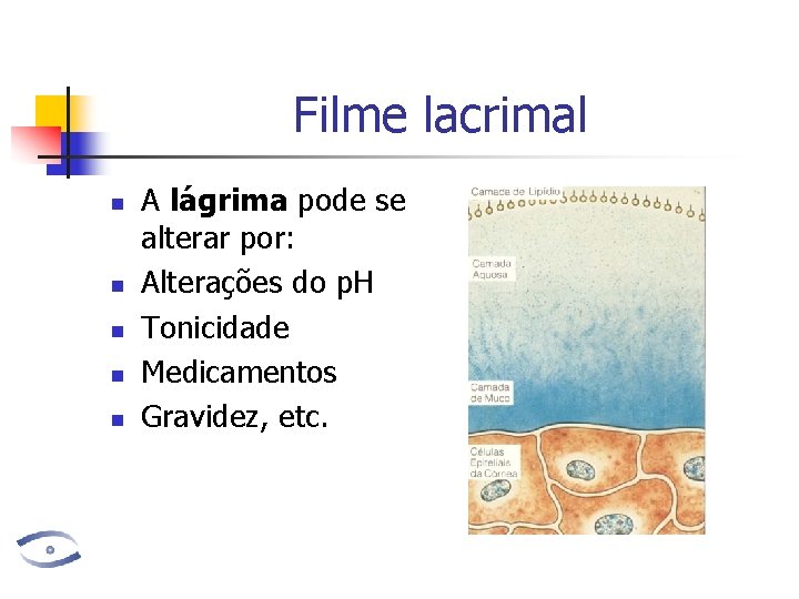 Filme lacrimal n n n A lágrima pode se alterar por: Alterações do p.