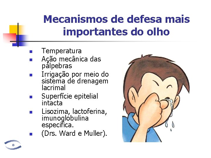 Mecanismos de defesa mais importantes do olho n n n Temperatura Ação mecânica das