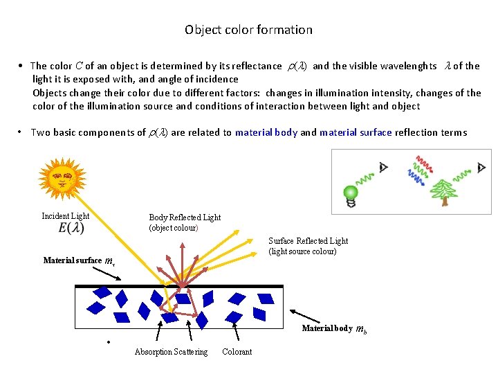 Object color formation • The color C of an object is determined by its