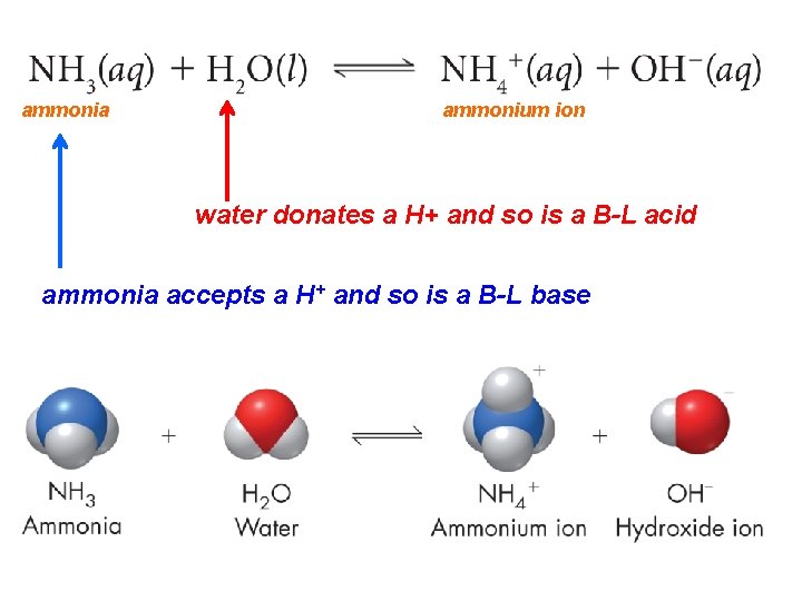 ammonia ammonium ion water donates a H+ and so is a B-L acid ammonia