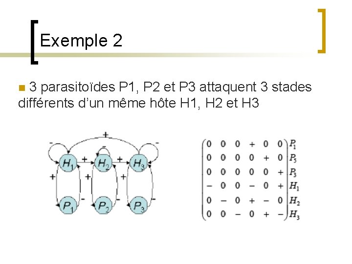 Exemple 2 n 3 parasitoïdes P 1, P 2 et P 3 attaquent 3
