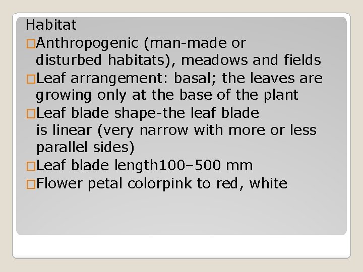 Habitat �Anthropogenic (man-made or disturbed habitats), meadows and fields �Leaf arrangement: basal; the leaves