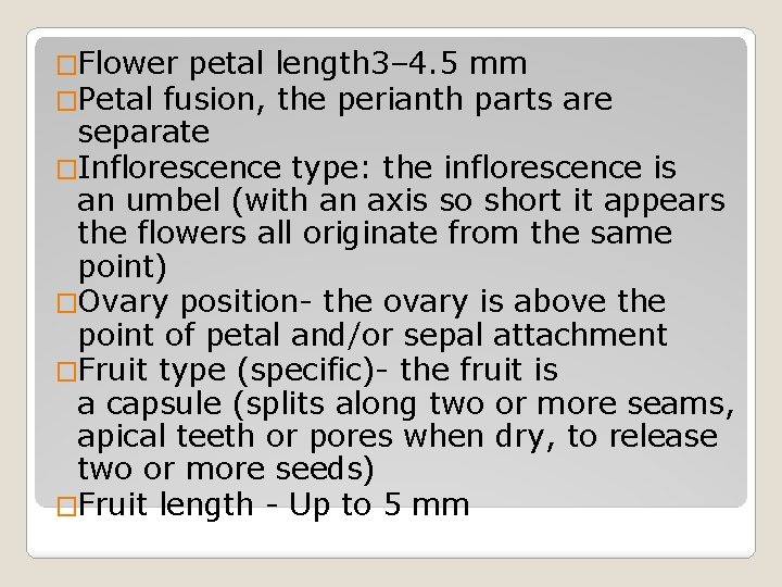 �Flower petal length 3– 4. 5 mm �Petal fusion, the perianth parts are separate