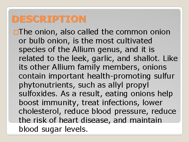 DESCRIPTION �The onion, also called the common onion or bulb onion, is the most