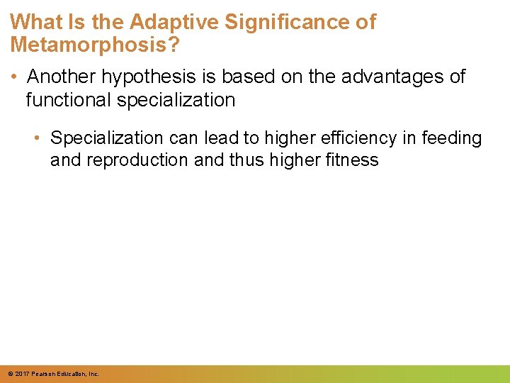 What Is the Adaptive Significance of Metamorphosis? • Another hypothesis is based on the
