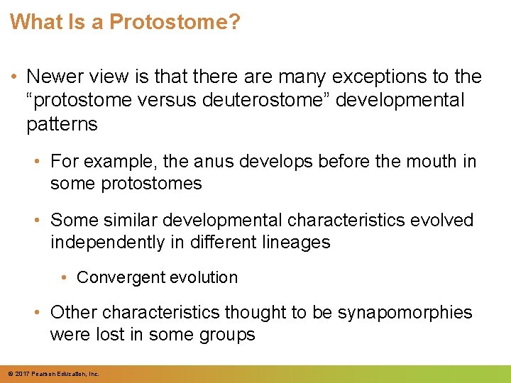 What Is a Protostome? • Newer view is that there are many exceptions to