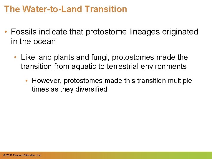 The Water-to-Land Transition • Fossils indicate that protostome lineages originated in the ocean •