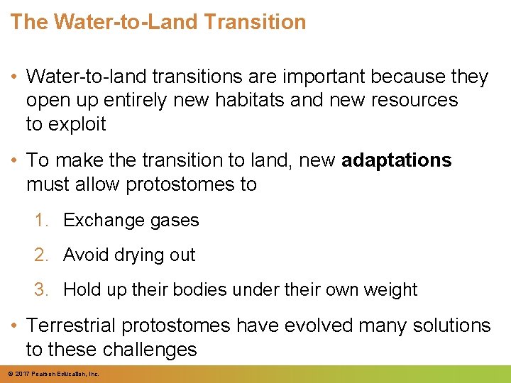 The Water-to-Land Transition • Water-to-land transitions are important because they open up entirely new