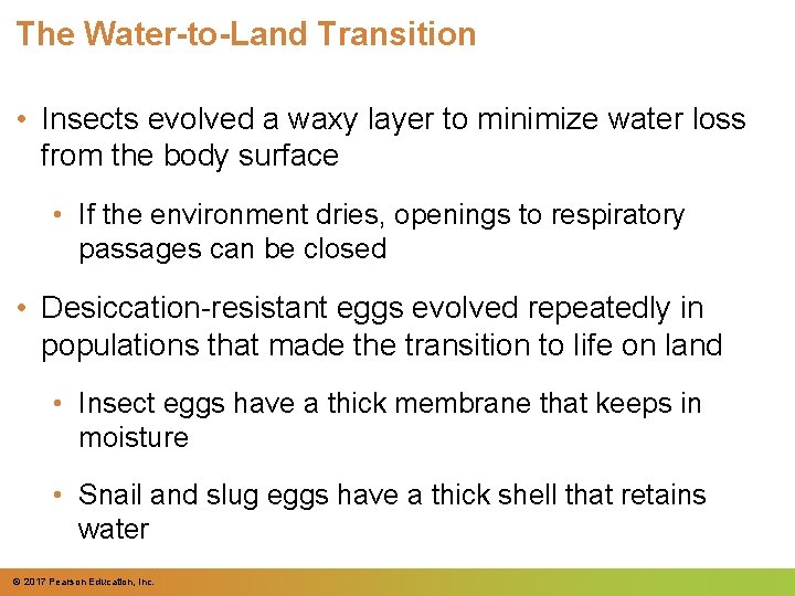 The Water-to-Land Transition • Insects evolved a waxy layer to minimize water loss from