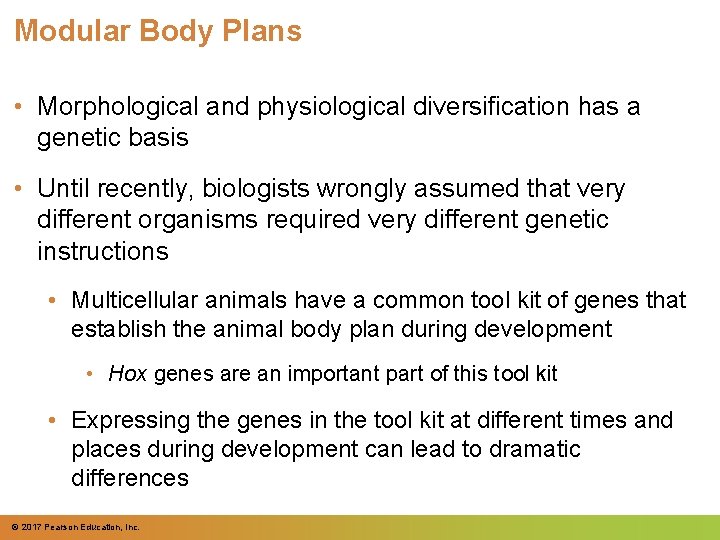 Modular Body Plans • Morphological and physiological diversification has a genetic basis • Until