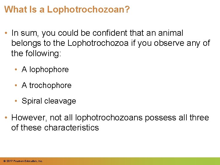 What Is a Lophotrochozoan? • In sum, you could be confident that an animal