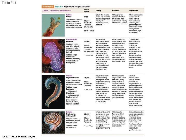 Table 31. 1 © 2017 Pearson Education, Inc. 
