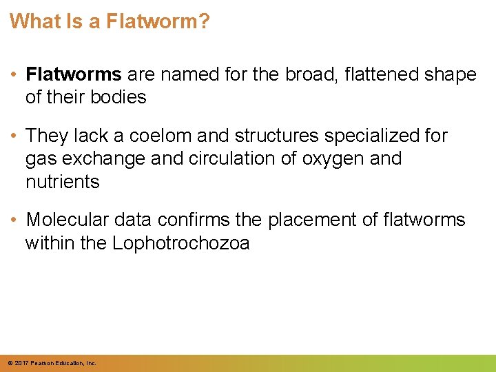 What Is a Flatworm? • Flatworms are named for the broad, flattened shape of