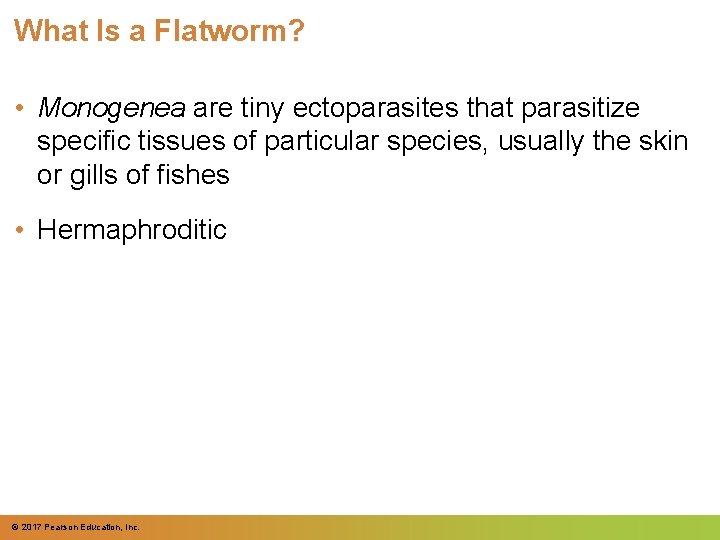 What Is a Flatworm? • Monogenea are tiny ectoparasites that parasitize specific tissues of