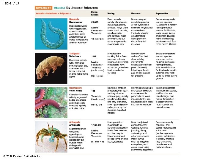 Table 31. 3 © 2017 Pearson Education, Inc. 