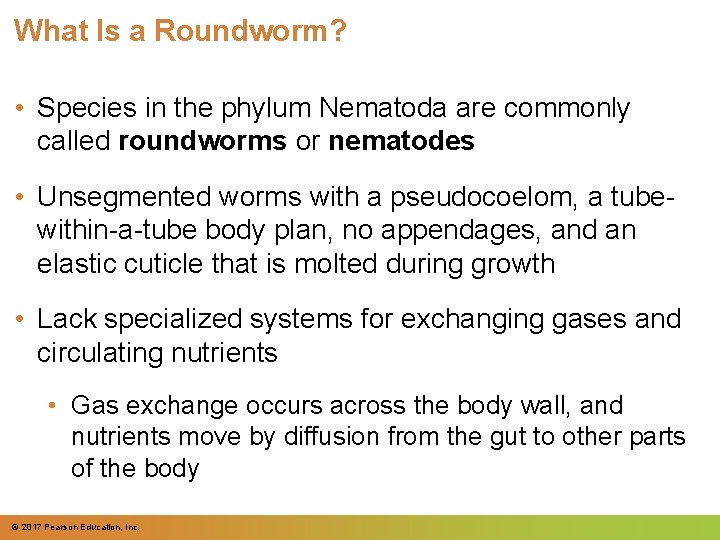 What Is a Roundworm? • Species in the phylum Nematoda are commonly called roundworms
