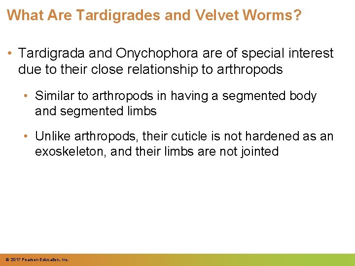 What Are Tardigrades and Velvet Worms? • Tardigrada and Onychophora are of special interest