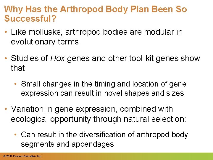 Why Has the Arthropod Body Plan Been So Successful? • Like mollusks, arthropod bodies