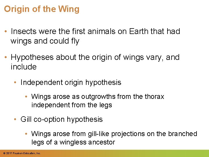 Origin of the Wing • Insects were the first animals on Earth that had