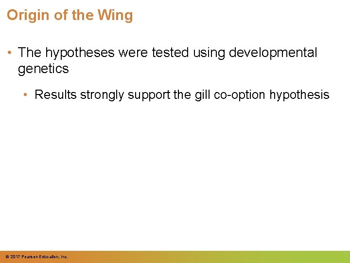 Origin of the Wing • The hypotheses were tested using developmental genetics • Results
