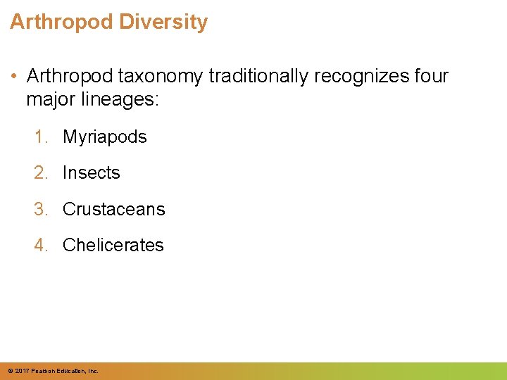 Arthropod Diversity • Arthropod taxonomy traditionally recognizes four major lineages: 1. Myriapods 2. Insects