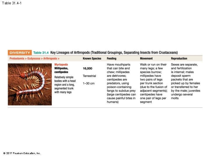 Table 31. 4 -1 © 2017 Pearson Education, Inc. 
