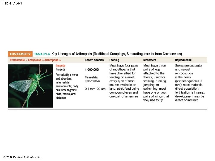Table 31. 4 -1 © 2017 Pearson Education, Inc. 
